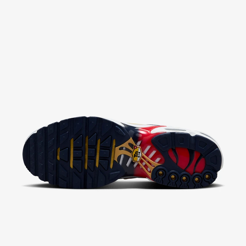 Nike Air Max Plus TN PSG