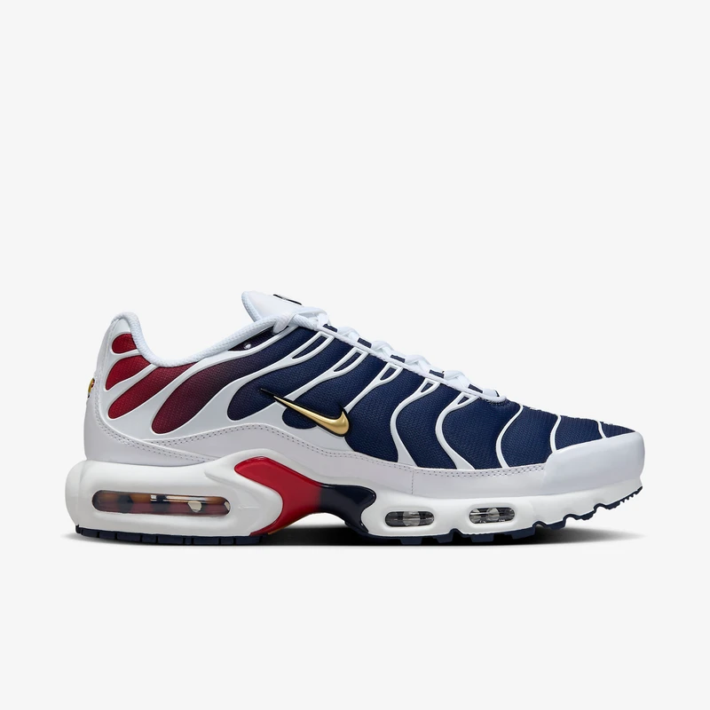 Nike Air Max Plus TN PSG