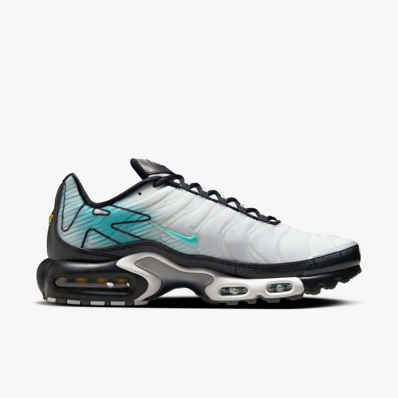 Nike Air Max Plus TN Mercurial Vapor