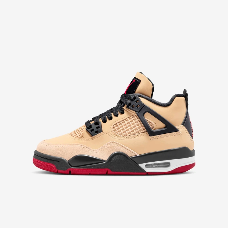 Jordan 4 Retro Pizza